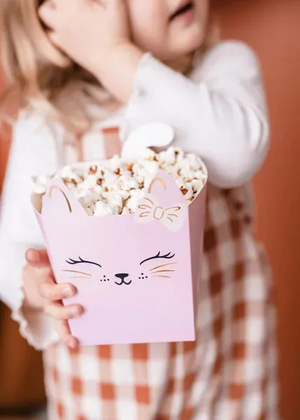 Cat Snack Boxes