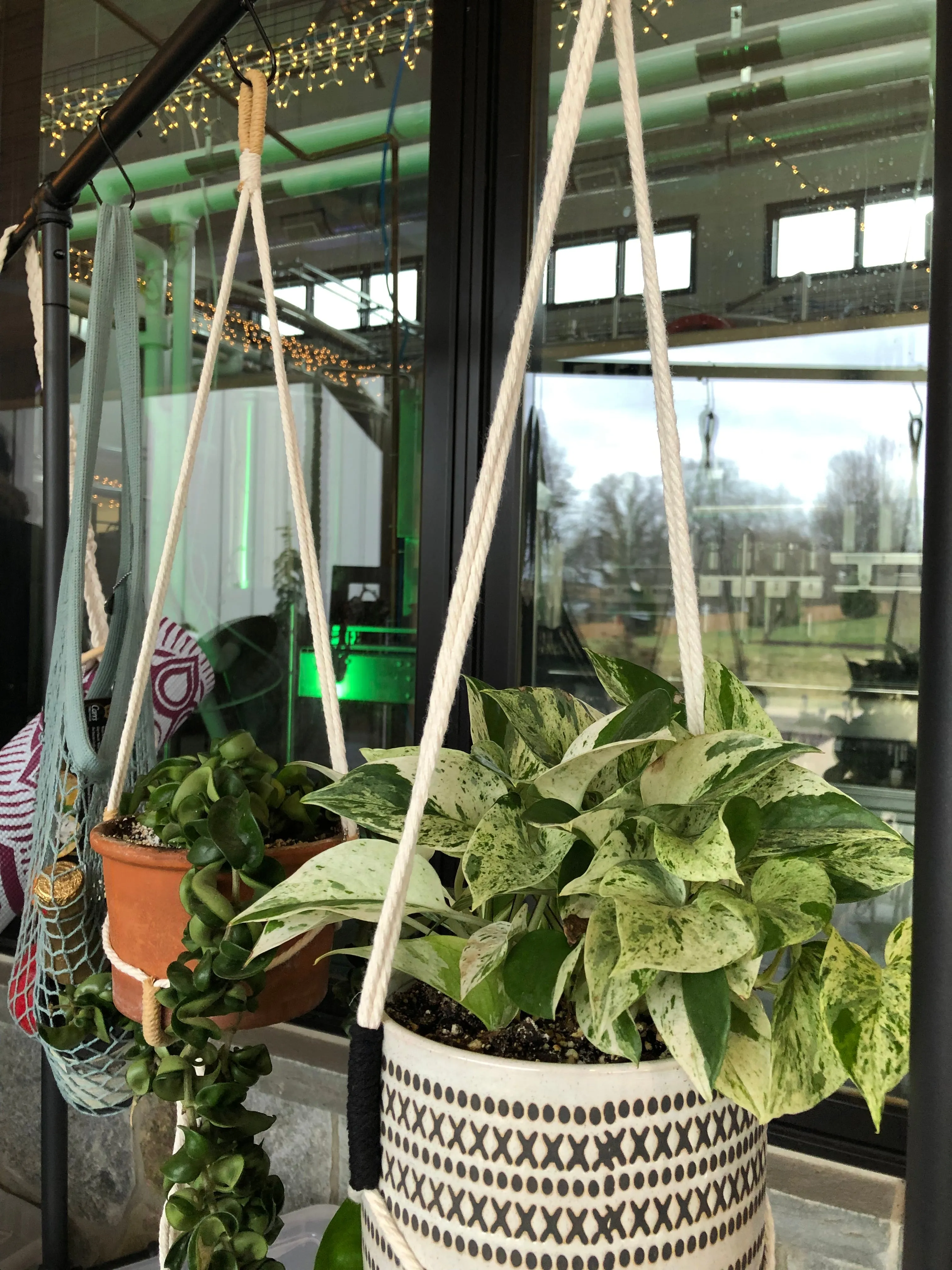 Macrame Plant Hangers