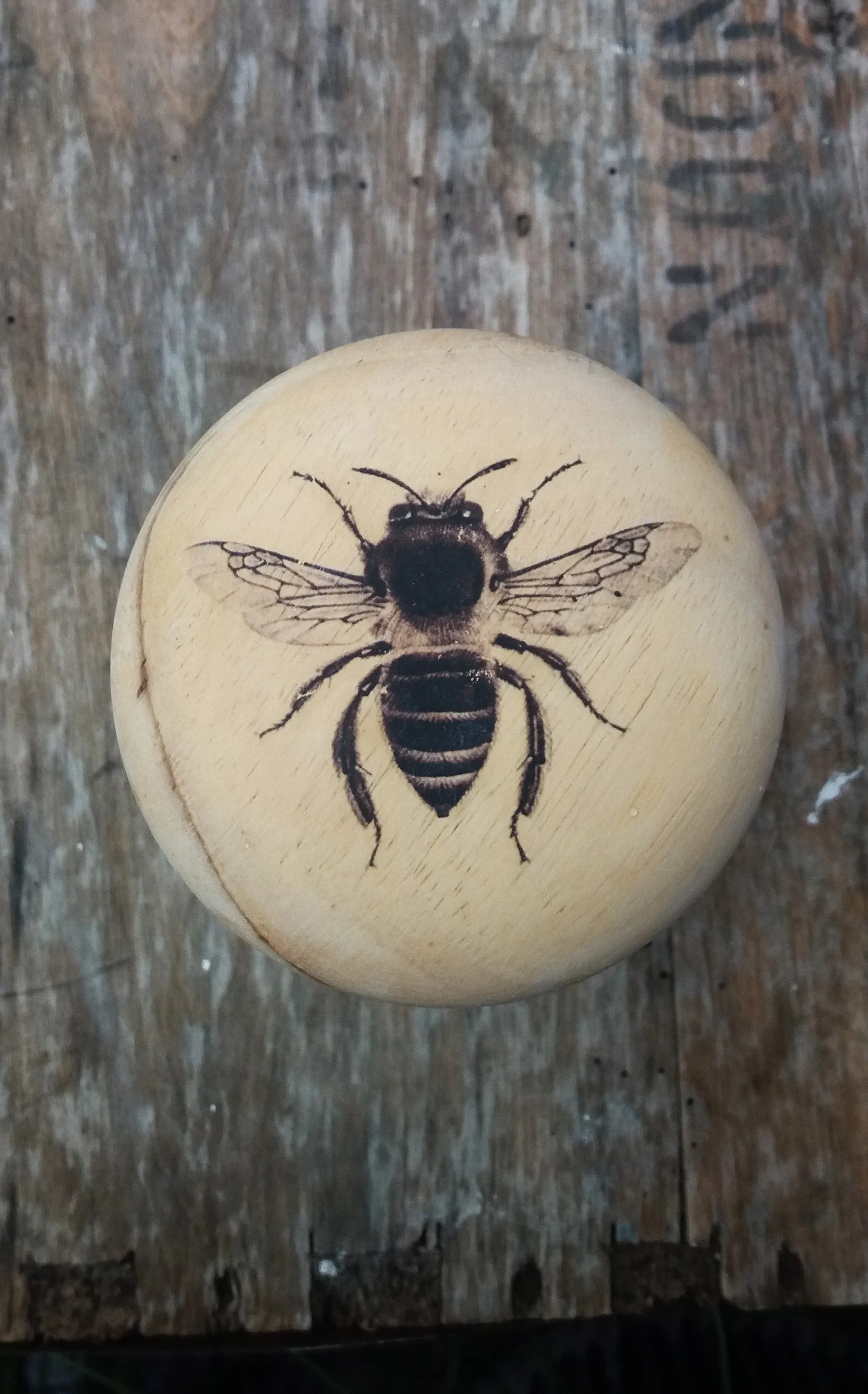 Upcycled kitchen storage pot ceramic and wood with bee design